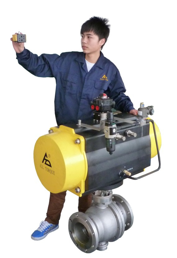 Pneumatic Actuator (DFS032-DFS400)