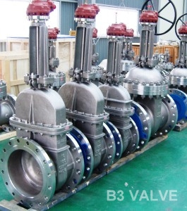 Duplex Steel Gate Valve