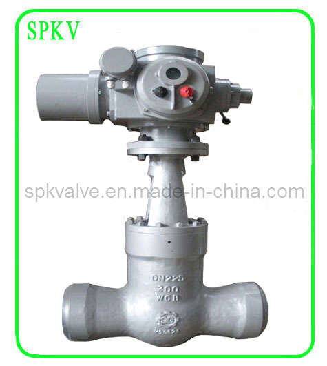 Power Station Gate Valve