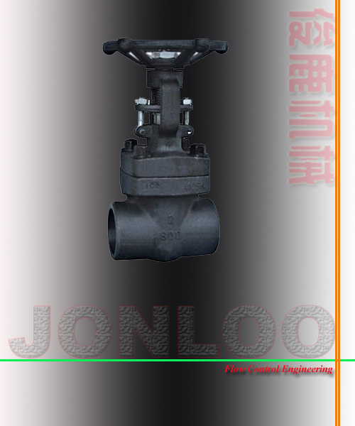 Forged Steel Gate Valve (Socket Welding and Inner Screw)