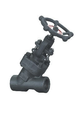 Forged Y Globe Valve (NPT/SW/BW)