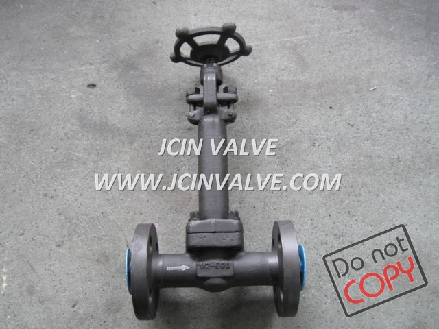 Forged Steel Extended Bonnet Globe Valve