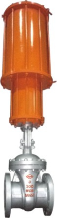 Pneumatic Gate Valve