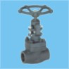 Globe Valve