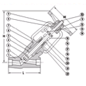 Forged Pressure Seal Y-Pattern Globe Valve (LIFC5007)