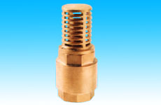 Foot Valve
