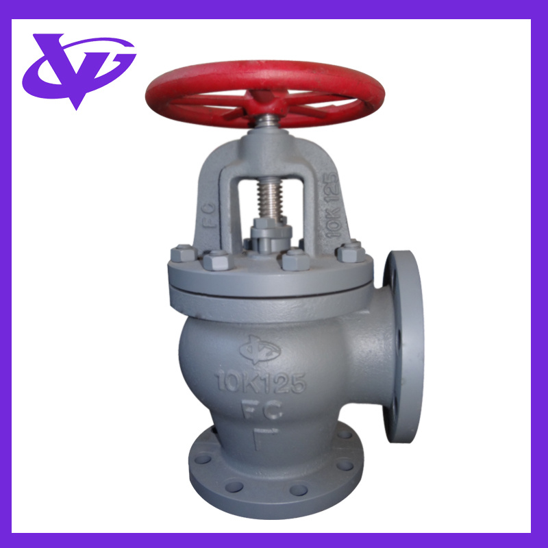 Cast Iron Screw Down Check Angle Valve (JIS F7376 10K125)