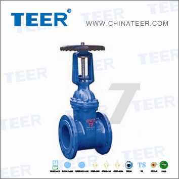 Cast Steel Gate Valve (Z 41H - 300LB)