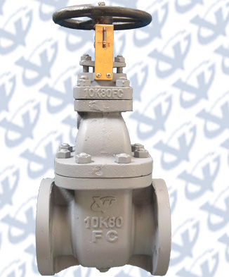 Marine Cast Iron Gate Valves (JIS F7363/7364/7369)