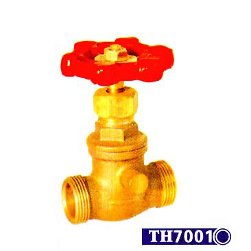 Valve (TH7001)