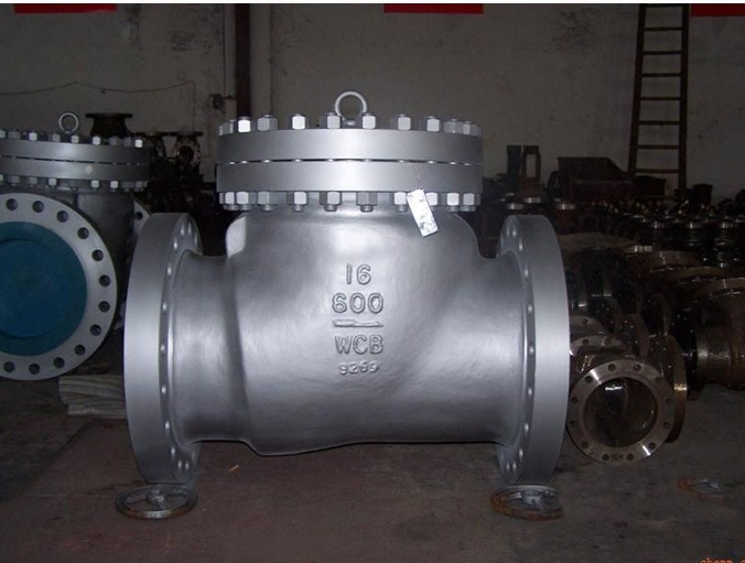 DIN Carbon Steel Flange Swing Check Valve with Pn25