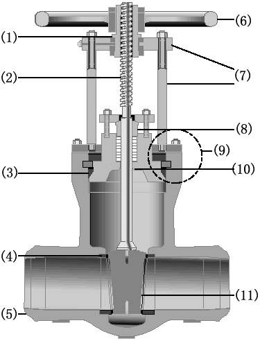 Pressure Seal Gate Valve (Z61H)