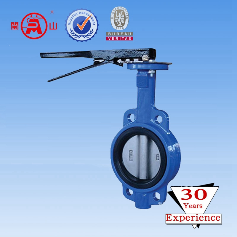 Butterfly Valve, Motorized Butterfly Valve