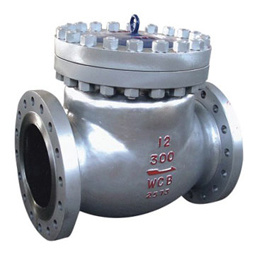 Swing Check Valve