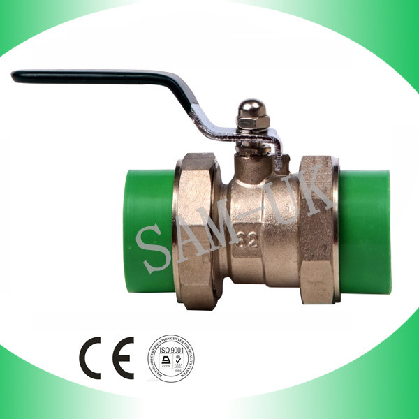 Flexible Brass Ball Valve