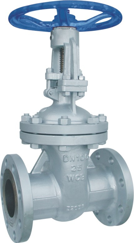Stainless Steel Gate Valve