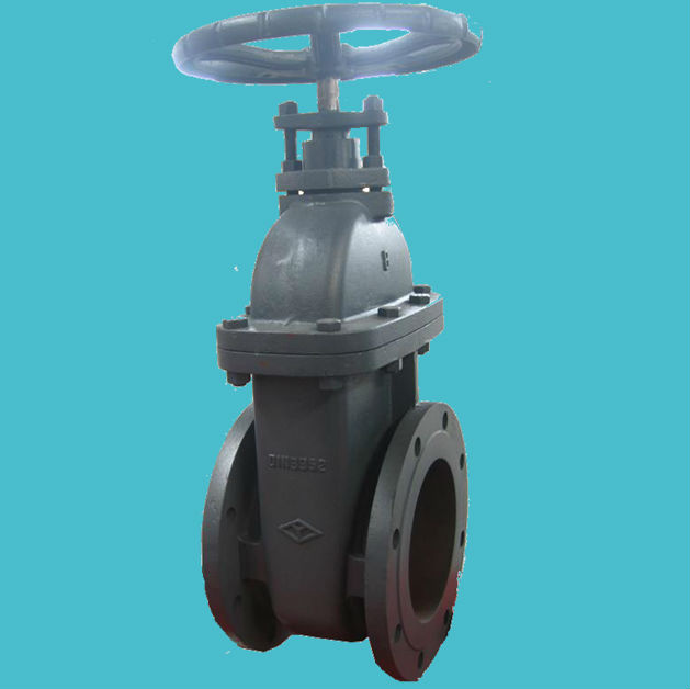 DIN Non Rising Stem Gate Valve (Z45T/H-16)