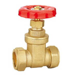 Brass Gate Valve (SSF50100)