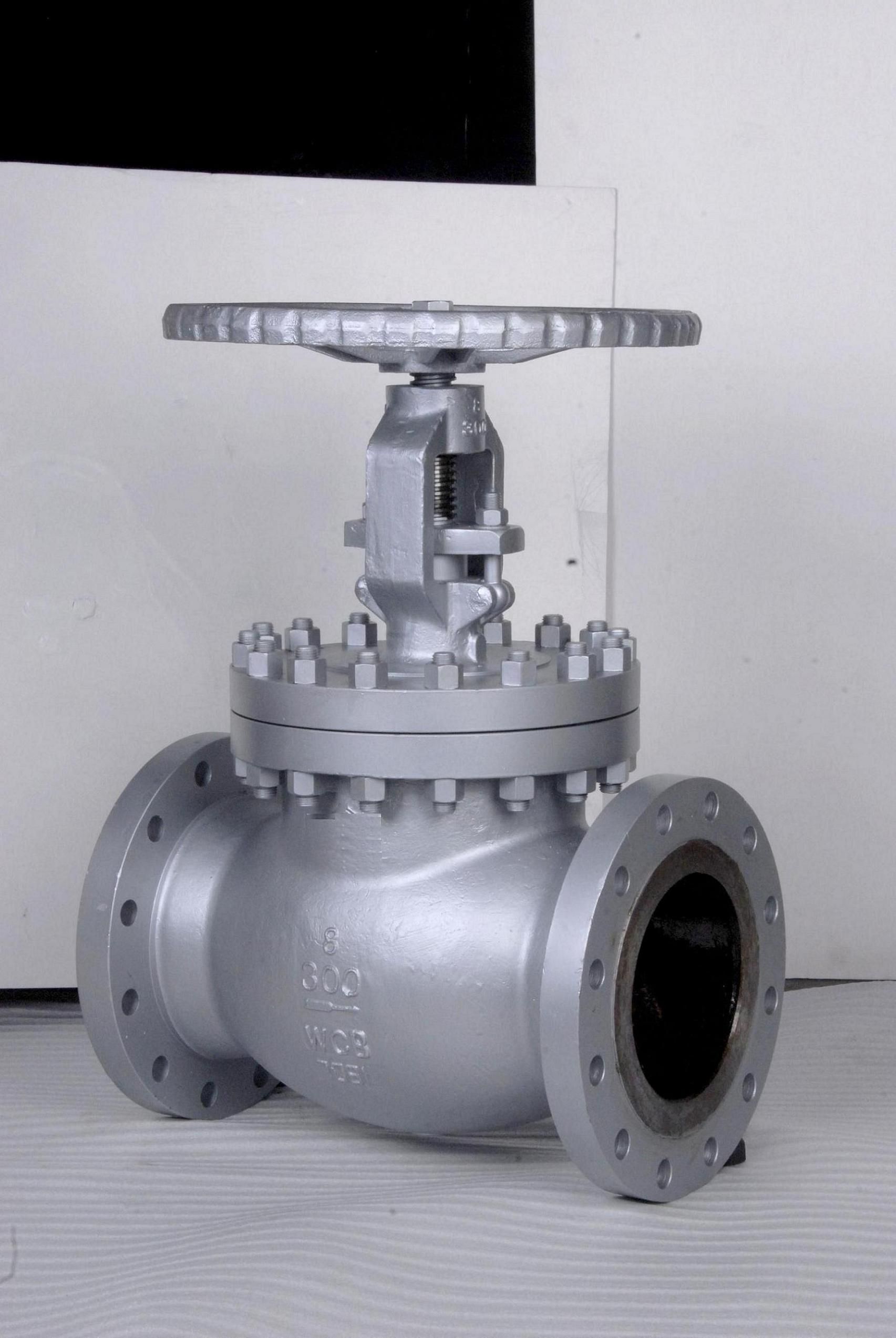 API Globe Valve