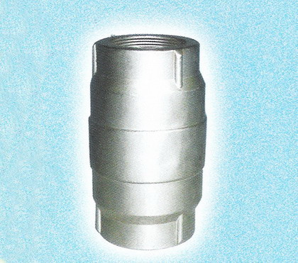 Spring Check Valve
