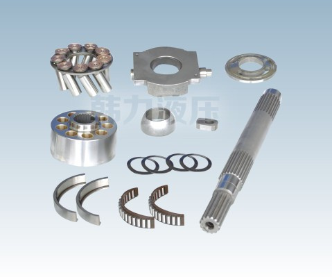 A10vso100 Rexroth Parts