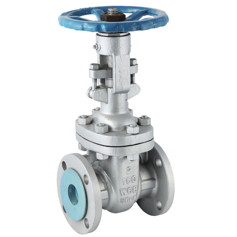 Cast Steel Flanged End Gate Valve