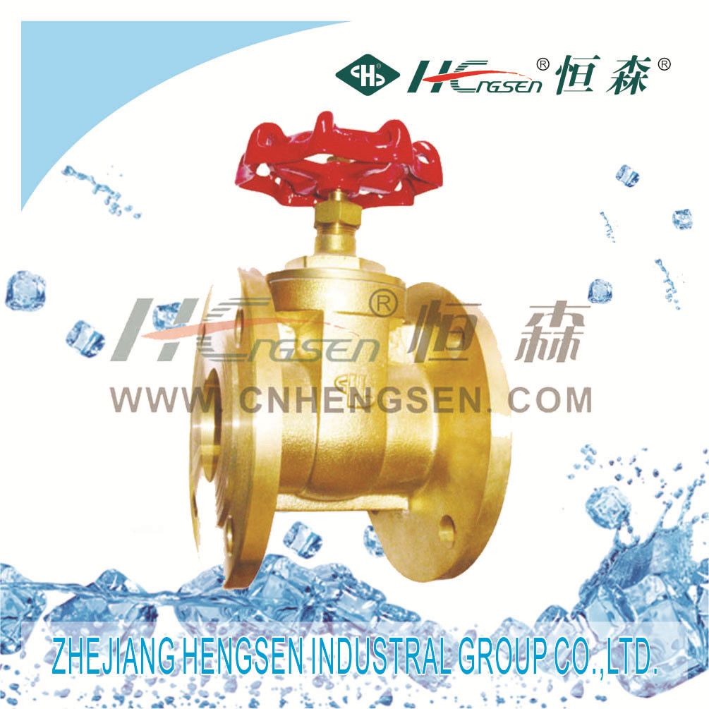 Brass Flanged Gate Valve for Refrigeration