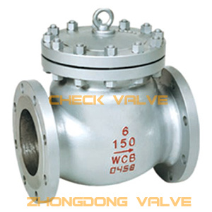 Check Valve