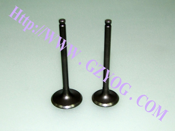 Yog Motorcycle Engine Parts Valves Zy 125