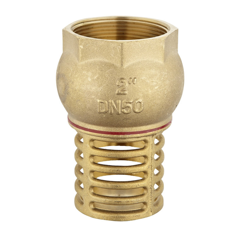 Brass Bottom Foot Swing Check Valve (a. 0501)