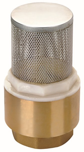 Check Valve