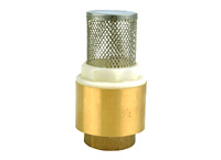 Check Valve (DC-C1103)