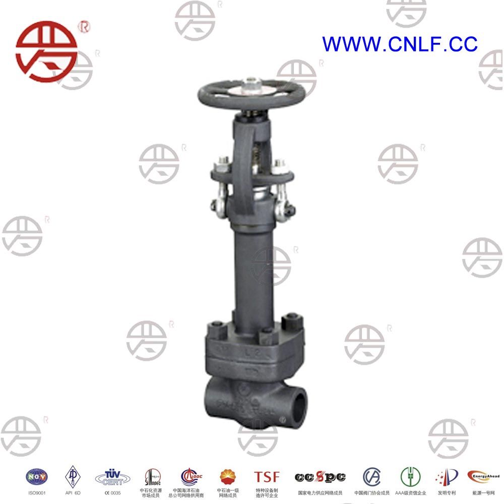 Forged Steel Cryogenic Gate Valve