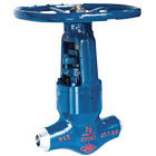 Globe Valve for Power Station