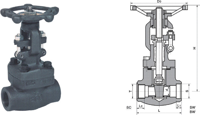 Forged DIN Slide Valve