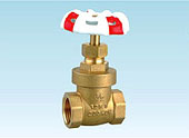 Gate Valve (MC-BGI-004)