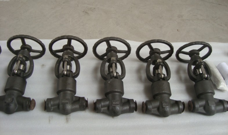 Pressure Seal Forged Globe Valve