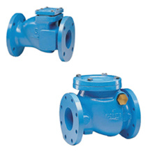 Cast Iron Check Valve (F700)