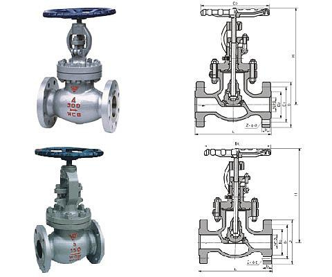 Globe Valve