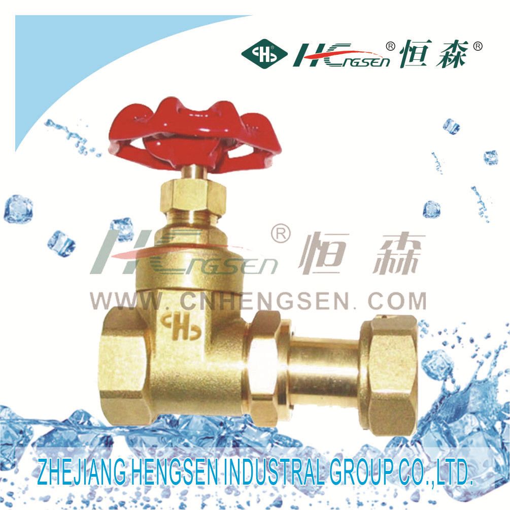 Adjustable Sluice Valve