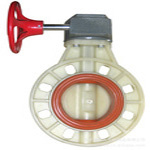 PPG Butterfly Valve
