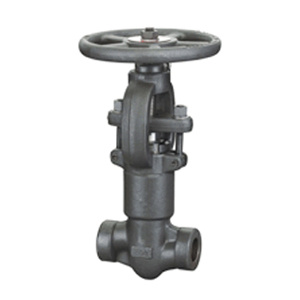 Forged Pressure Seal Globe Valve