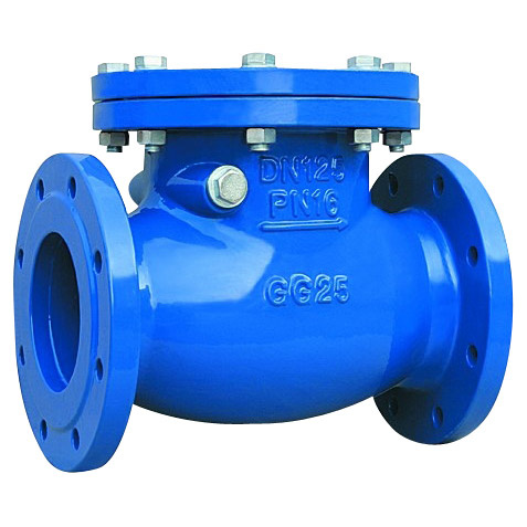 Swing Type Check Valve (H44T-10)