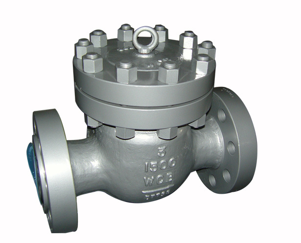 High Pressure Check Valve