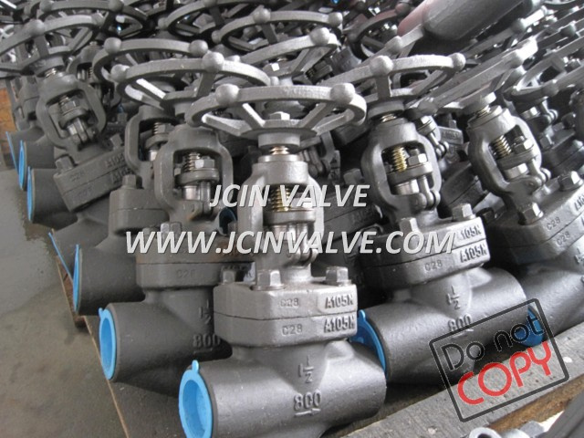 Forged Steel Globe Valves with NPT Ends