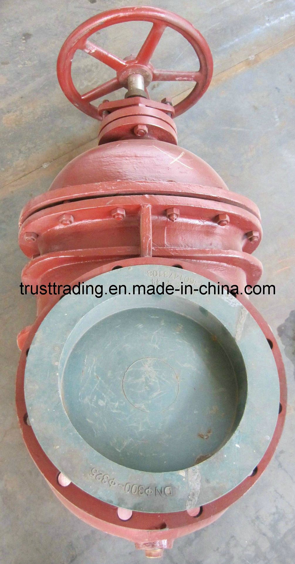 Cast Iron Gate Valve