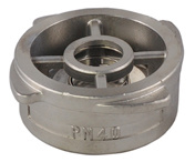 Stainless Steel Wafer Check Valve for Pn40 (DYTIV-002)
