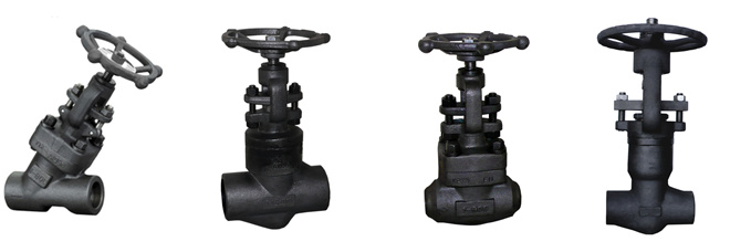 Globe Valve