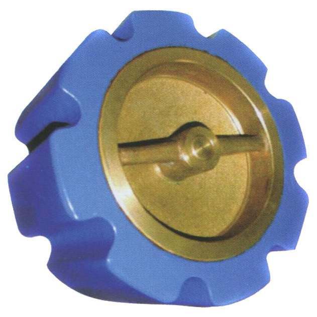 Dual Plate Check Valve (HY. 3501)