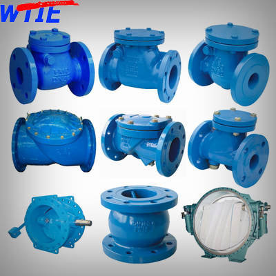 Ductile Iron Check Valve